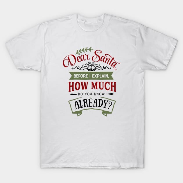 Funny Xsmas Dear Santa T-Shirt by CANVAZSHOP